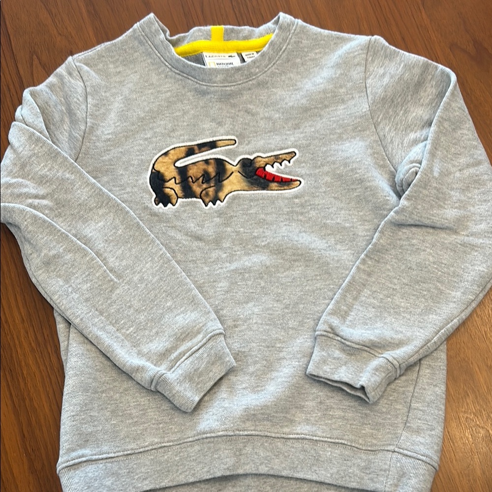 Lacoste Gray Sweatshirt with Crocodile Logo for Kids